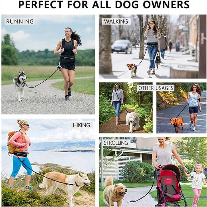 Hands Free Dog Leash Pet Walking