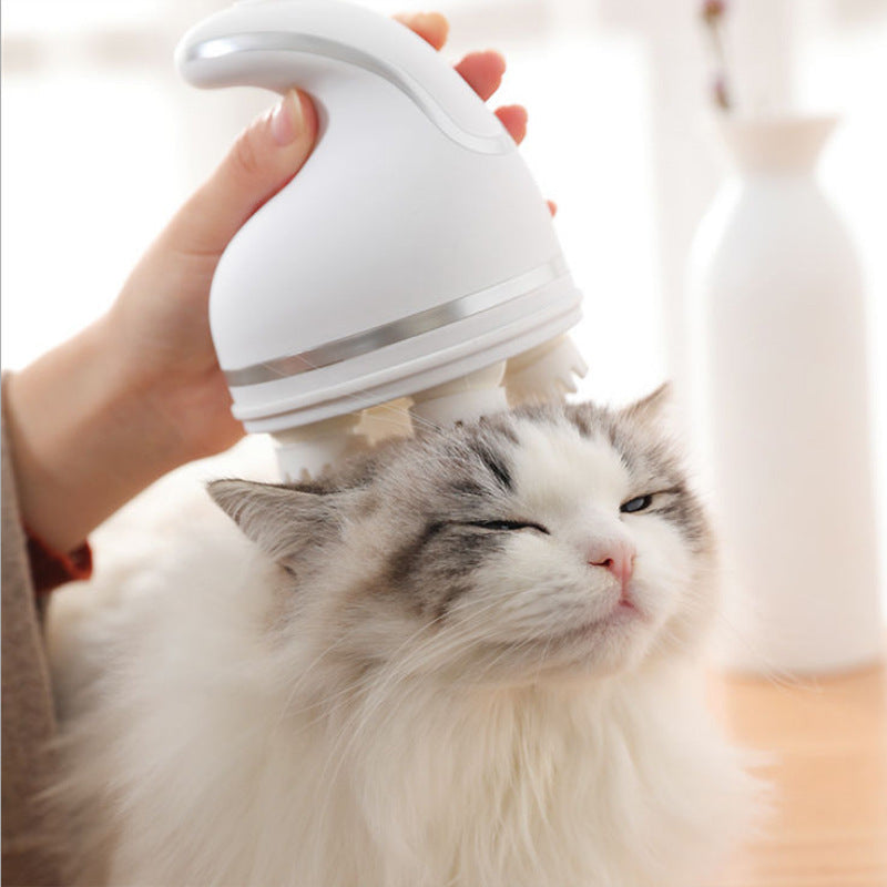 Pet