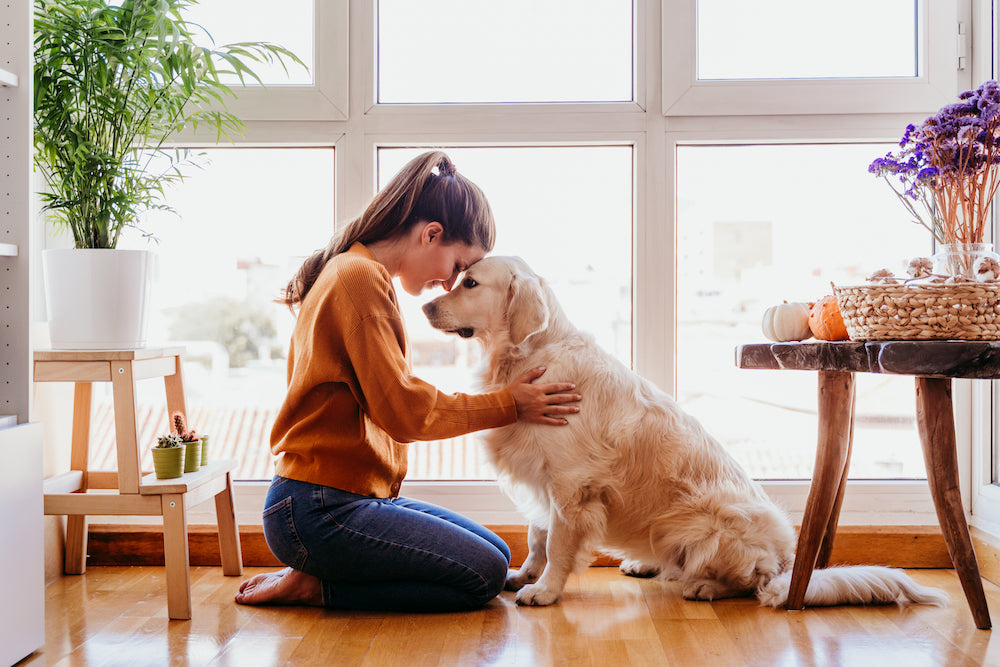 pet