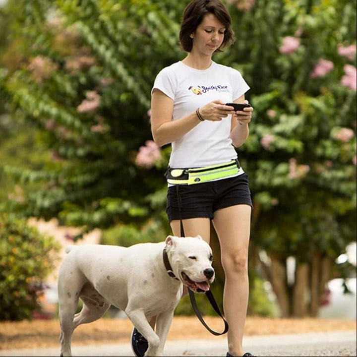 Hands Free Dog Leash Pet Walking