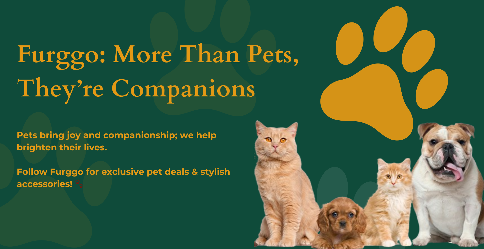 Pet